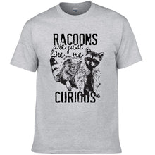 Load image into Gallery viewer, Racoons Curıous