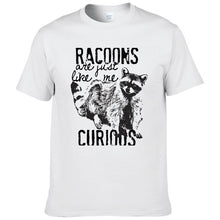 Load image into Gallery viewer, Racoons Curıous