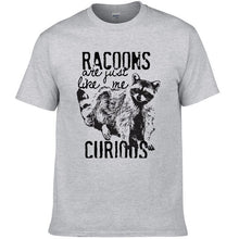 Load image into Gallery viewer, Racoons Curıous