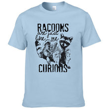 Load image into Gallery viewer, Racoons Curıous