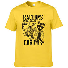 Load image into Gallery viewer, Racoons Curıous