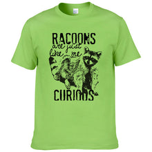 Load image into Gallery viewer, Racoons Curıous
