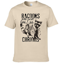 Load image into Gallery viewer, Racoons Curıous