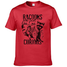 Load image into Gallery viewer, Racoons Curıous