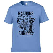 Load image into Gallery viewer, Racoons Curıous