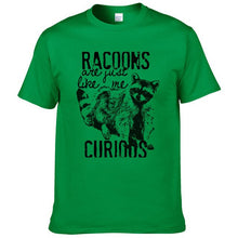 Load image into Gallery viewer, Racoons Curıous